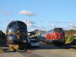 Rundnasen der 1960er Jahre im Vergleich: ex DSB MY 1152 und ex DB V 200 106 bei VIKING Rail in Pattburg, 25.09.2025
