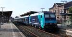 HVLE/NAH.SH/DB 246 010-3 REV/ITL Bw Pirna/17.04.24 als Schublok eines RE 6 nach Hamburg. Ausfahrt Niebüll 28.09.2025 I