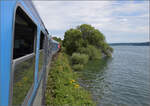 Blick aus dem Zug mit 218 256. Entlang des Sees bei Sipplingen. Man beachte den hohen Wasserstand. Juli 2024.