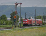 245 007 mit 3 Dostos Richtung Basel. Wilchingen, Mai 2025.
