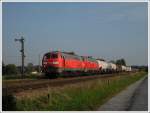 225 806 und 225 009 in Tling