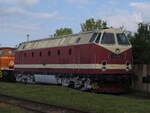 229 199-5 (119 199-8) von TEV Weimar beim 30. Weimarer Eisenbahnfest am 24.5.2025