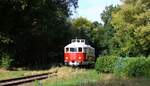T2 der Schleswiger Kreisbahn vor einen B in Verden-Eitze 03.10.2025