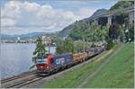 Die von SBB Cargo gemietet 193 061 ist kurz vor Villeneuve mit einem Güterzug auf dem Weg in Richtung St-Maurice. 

30. Juli 2025 