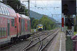 563 016 trifft in Biberach (Baden) ein während die Schwarzwaldbahn mit 146 236 einen allseits beliebten Sichtanschluss herstellt. August 2025.