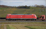 Herbst in Auggen.

185 070 mit leeren Autotransportwagen auf dem Weg nach Basel. Oktober 2025.