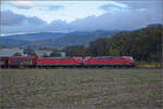 185 094 und 185 090 bei Buggingen. Oktober 2025.