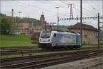 Brauereifest Feldschlsschen 2025.

187 008 durchbricht die S-Bahn- und IR-Routine in Rheinfelden. April 2025.