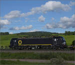 193 719 von Beacon bei Schliengen. Juli 2024.
