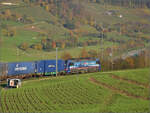 Sonnentag in Frick.

Die durch SBB Cargo international geleaste Loks 193 528 'Mosel' mit einem Containerzug auf dem Weg zum Bözberg. Frick, November 2024.