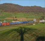Sonnentag in Frick.

Die durch SBB Cargo international geleaste Loks 193 528 'Mosel' mit einem Containerzug auf dem Weg zum Bözberg. Frick, November 2024.