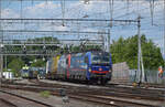 193 526 'Maas' und 193 475 'Domodossola' der SBB Cargo international befördern einen Güterzug Richtung Basel befördern. Burgdorf, Mai 2025.