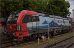 Der SBBCI-Vectron 193 466 'Bellinzona' ist in Singen am Bahnsteig der Randenbahn geparkt. Juni 2025.