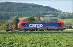 Vectronenleasingfieber nun auch bei der nationalen SBB Cargo, 193 073 von RCM mit einem Bauzug bei Hendschiken, Juni 2025.