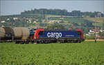 Vectronenleasingfieber nun auch bei der nationalen SBB Cargo, 193 076 von RCM mit einem Mischer bei Hendschiken, Juni 2025.