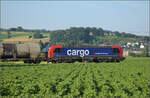 Vectronenleasingfieber nun auch bei der nationalen SBB Cargo, 193 076 von RCM mit einem Mischer bei Hendschiken, Juni 2025.
