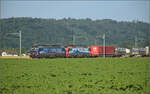 193 521 'Donau' SBBCI und 193 467 'Brig' SBBCI bei Hendschiken, Juni 2025.