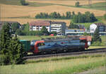 193 474 'Mannheim' SBBCI mit Containern bei Frick, Juni 2025.