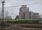193 443 von ELL f�hrt f�r Flixtrain. Duisburg, Februar 2026.