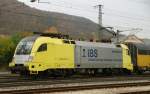 Das Highlight meines Treuchtlingen Besuches! ES 64 U2-096, in neuer, sehr anspruchsvoller Beklebung; IBS, Consulting und Software fr Bahnen! Aufgenommen am 31.10.09.