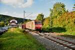 Zufallsfoto, mit Streiflicht! Unerwartet kam 185 194-8 mit einem Mischer heute am Abend durch Neckargerach gen Neckarelz gefahren. 10.9.2025
