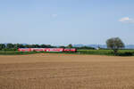 Panorama mit 218: 218 401-8 zieht den RE 12031 bei Winden nach Karlsruhe. Nächster Halt wird in Kürze Kandel sein. (2. Mai 2025)
