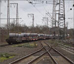 248 037 von Captrain bringt einige Blechrollen auf Sahmms-Wagen nordw�rts. Duisburg, Februar 2026.