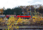 Die 187 148-2 (91 80 6187 148-2 D-DB) der DB Cargo AG fährt am 13 November 2025 mit einem Coilzug durch Betzdorf (Sieg) in Richtung Köln. Im Vordergrund der Rbf, hier werden Gleise erneuert.

Die Bombardier TRAXX F140 AC3 wurde 2017 von d ...