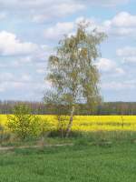  Vater-Sohn-Beziehung 