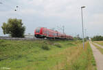 1462 038 als RE20 4790 Nürnberg - Bamberg - Würzburg kur vor Zeil am Main. 01.08.24