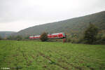 445 064 als RE 55 4618 Würzburg - Frankfurt/Main bei Wernfeld. 20.10.24