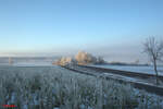 Morgenstund bei -14Grad bei Marktleuthen. 29.12.24