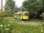Hist. Strassenbahnzug im Grnen - Schleife Sandow, Cottbus 6.6.2009