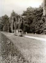 Kirnitzschtalbahn in bad Schandau, um 1988