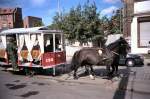 Die Pferdebahn kommt
hier 1994 in Erfurt
aber nur noch als Sonderfahrt