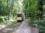 Tw 2990 kommt durch den Wald zur Endstelle S-Bahnhof Rahnsdorf, 23. 5. 2009