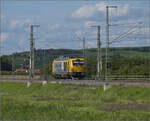 248 040 von Leonhard Weiss bei Schliengen. Juli 2024.