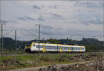 463 009 bei Schliengen. Juli 2024.