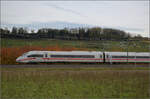Herbst in Auggen.

Triebzug 9007 alias '412 007' auf dem Weg in die Schweiz. Oktober 2025.