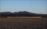 463 010, 463 018 und 463 014 fahren bei Buggingen im Abendlicht südwärts. Februar 2026.