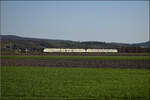 Vermutlich 463 005 und 463 020 auf dem Weg nach Basel in Hügelheim. Februar 2026.