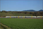 Vermutlich 463 005 und 463 020 (im Bild) auf dem Weg nach Basel in Buggingen. Februar 2026.