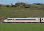 Ein neuerdings wieder überraschend sauberer ICE 4 lädt zum Einzeln-Fotografieren ein. Ob das Gelb der typischen spätnachmittäglichen Sonne im Markgräflerland geschuldet ist oder dem beim Waschen nicht mehr abgegangenen Flugro ...