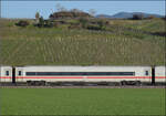 Ein neuerdings wieder überraschend sauberer ICE 4 lädt zum Einzeln-Fotografieren ein. Ob das Gelb der typischen spätnachmittäglichen Sonne im Markgräflerland geschuldet ist oder dem beim Waschen nicht mehr abgegangenen Flugro ...