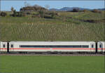 Ein neuerdings wieder überraschend sauberer ICE 4 lädt zum Einzeln-Fotografieren ein. Ob das Gelb der typischen spätnachmittäglichen Sonne im Markgräflerland geschuldet ist oder dem beim Waschen nicht mehr abgegangenen Flugro ...