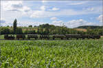 Kurzer Besuch beim Kanderli. 

Der Museumszug mit Lok 30 zwischen Wittlingen und seinem Sportplatz. Juli 2024.
