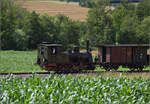 Kurzer Besuch beim Kanderli. 

Der Museumszug mit Lok 30 zwischen Wittlingen und seinem Sportplatz. Juli 2024.