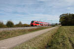 442 753 als S1 39162 Neumarkt/Oberpfalz - Bamberg bei Plling. 17.10.24