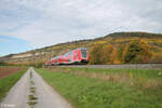 445 077 als RE 54 RE4617 Frankfurt/Main - Bamberg bei Thüngersheim. 21.10.24