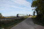 1463 211-1 + 1463 212 als RE50 63066 Plattling nach Nürnberg bei Pölling. 17.10.24